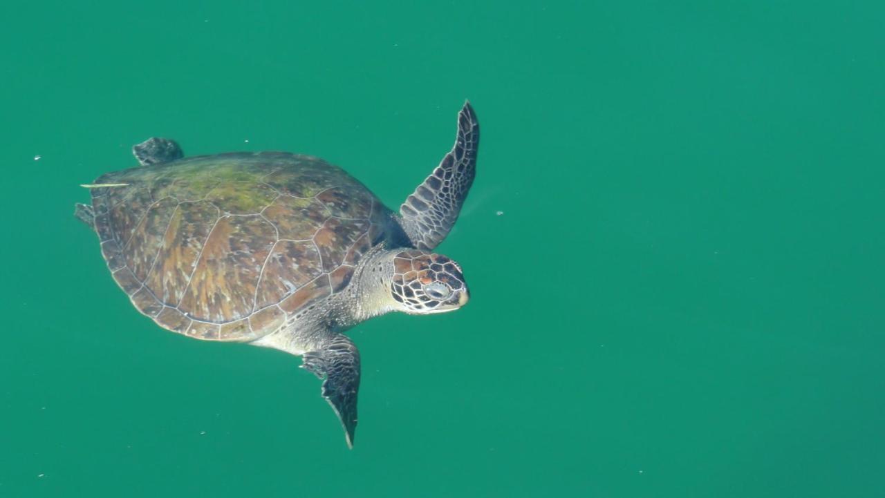 Pousada Cruzoé Praia de Araçatiba Esterno foto